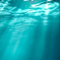 66443345